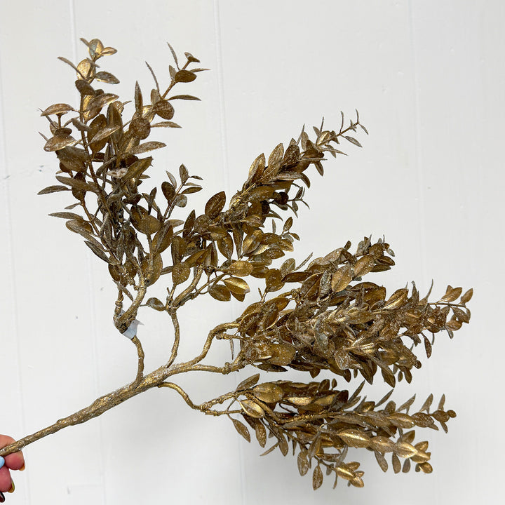 Glittered Boxwood - Champagne