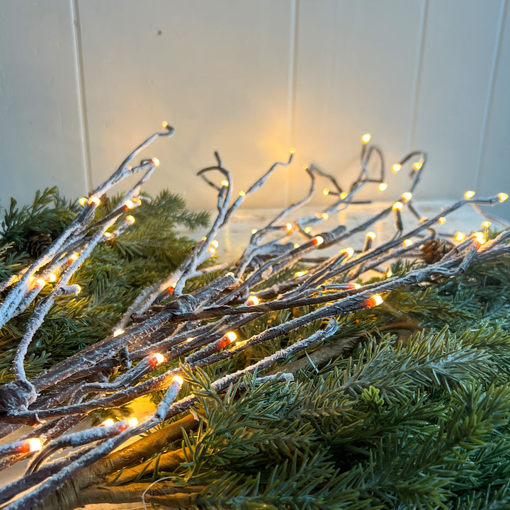 Lit Branch