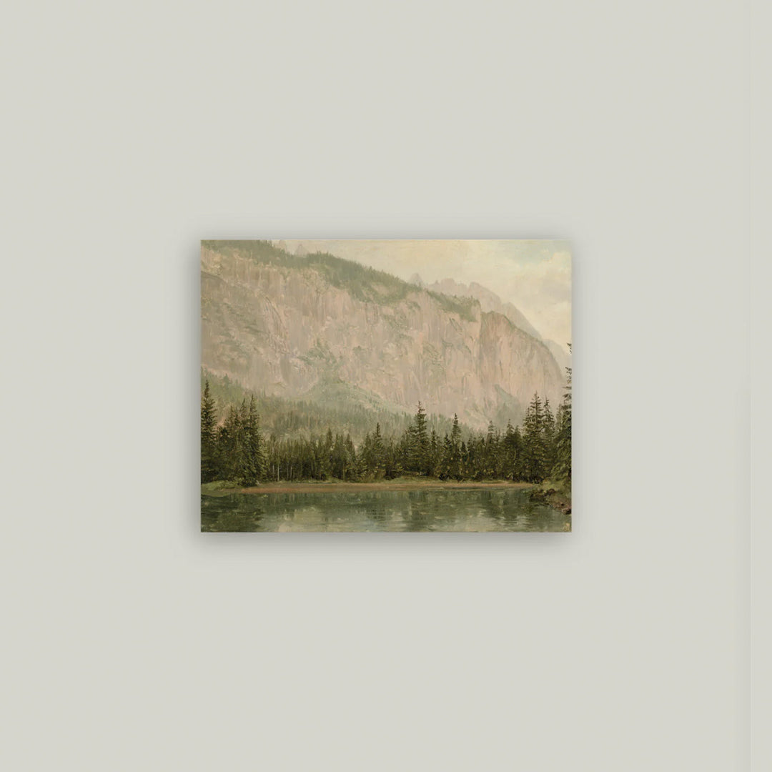 Mountain Pine Artist Board