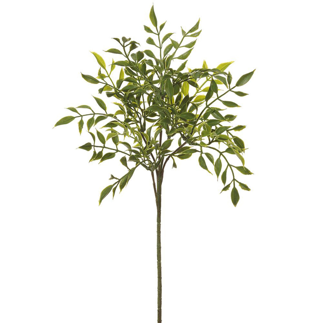Nandina Spray
