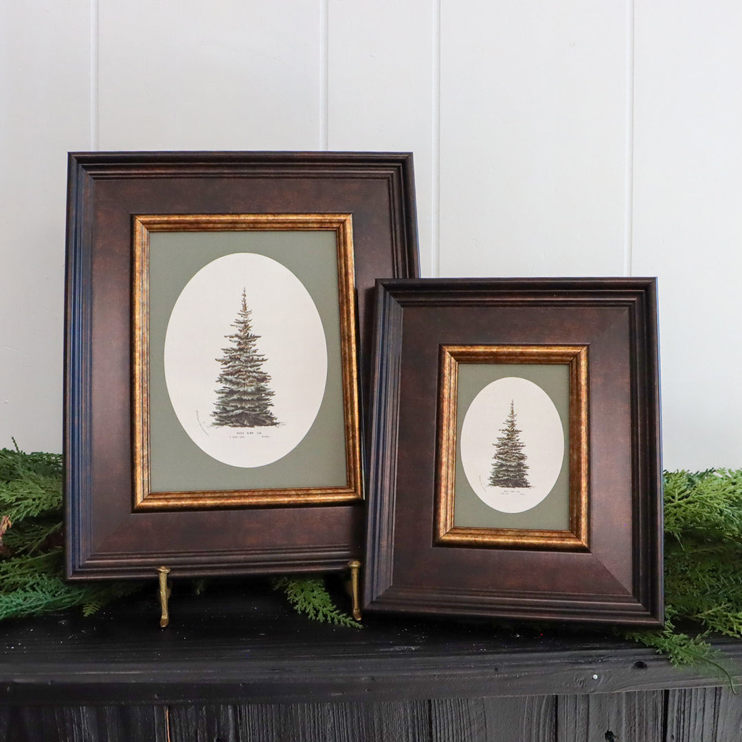 Oval Matte Tree