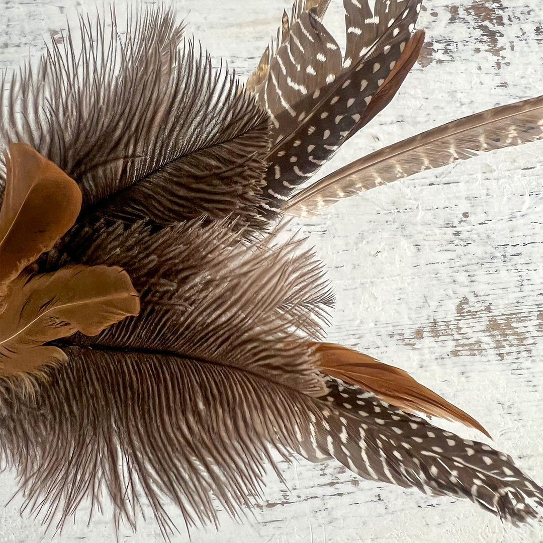 Pheasant Feather Pick