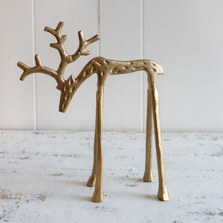 Rex Reindeer