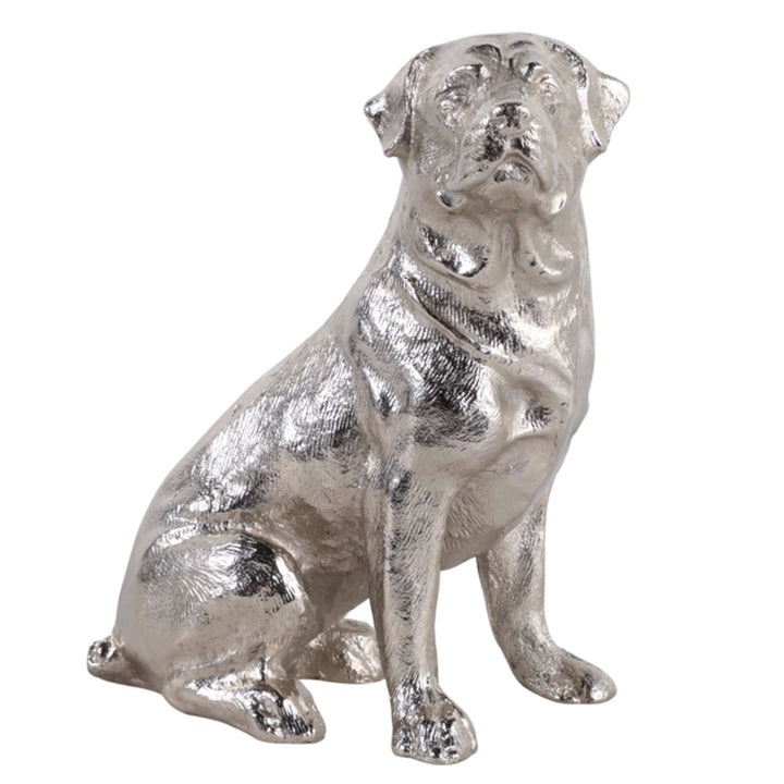 Silver Lab