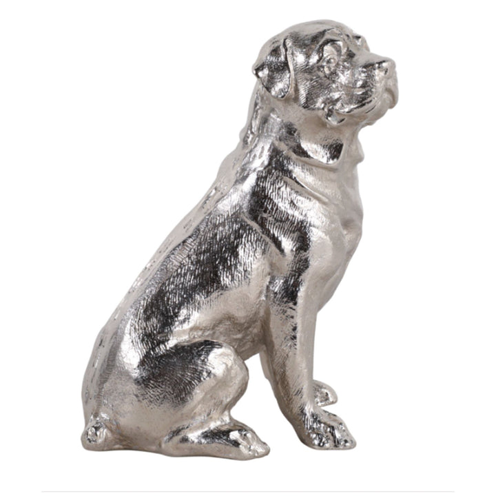 Silver Lab