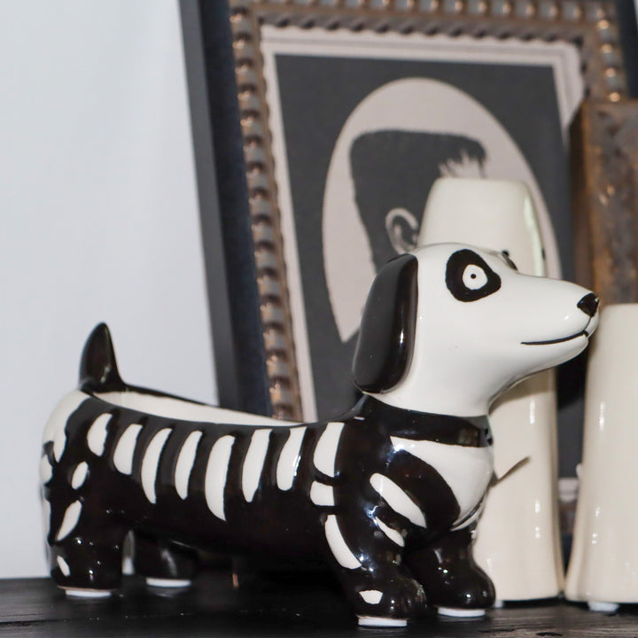 Skeleton Dog Bowl