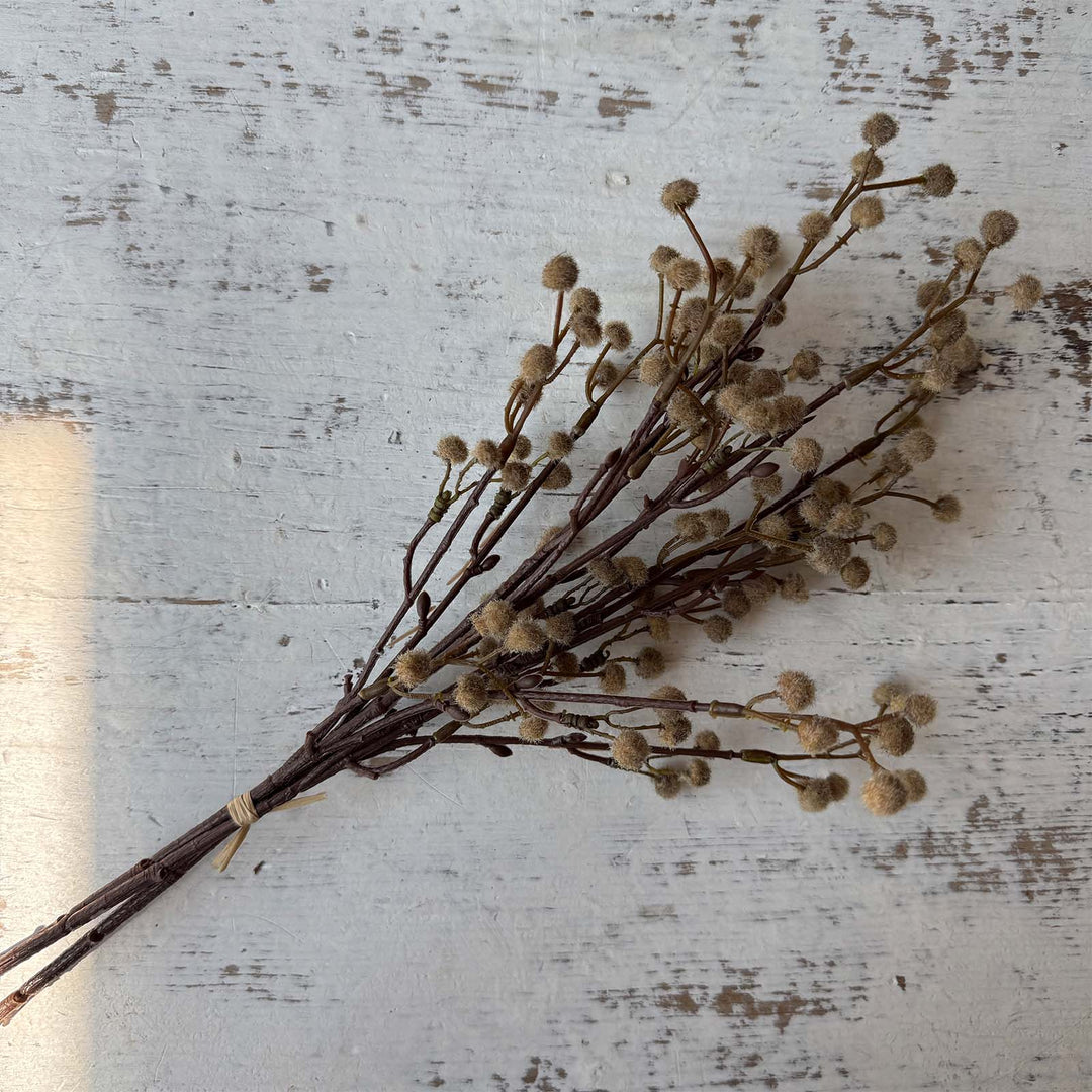 Seed Bundle - Fawn