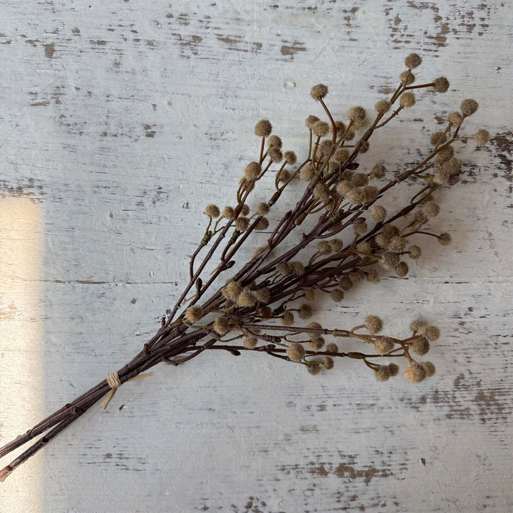 Seed Bundle - Fawn