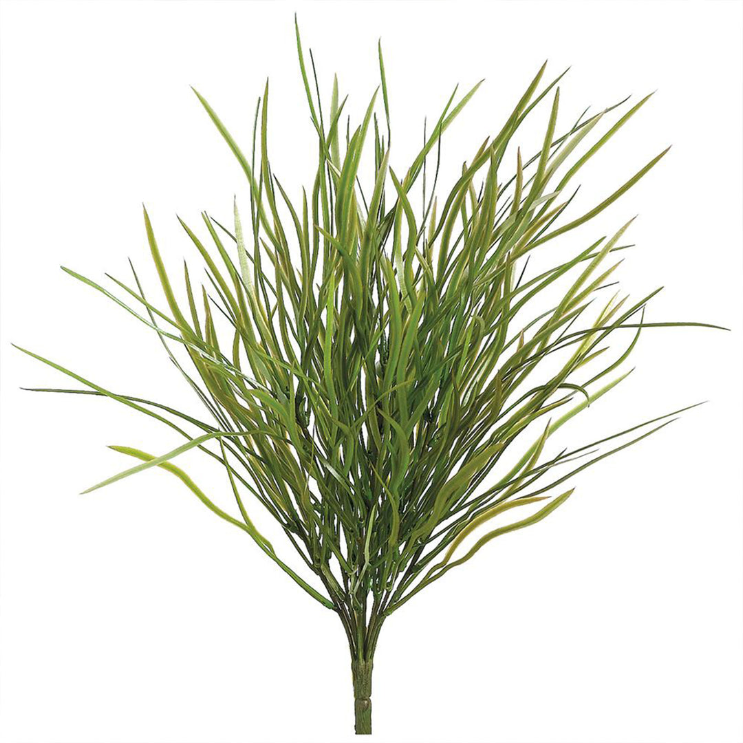 Wild Willow Grass