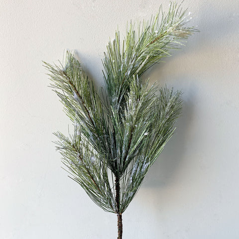 Silver Fir Spray