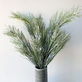 Silver Fir Spray