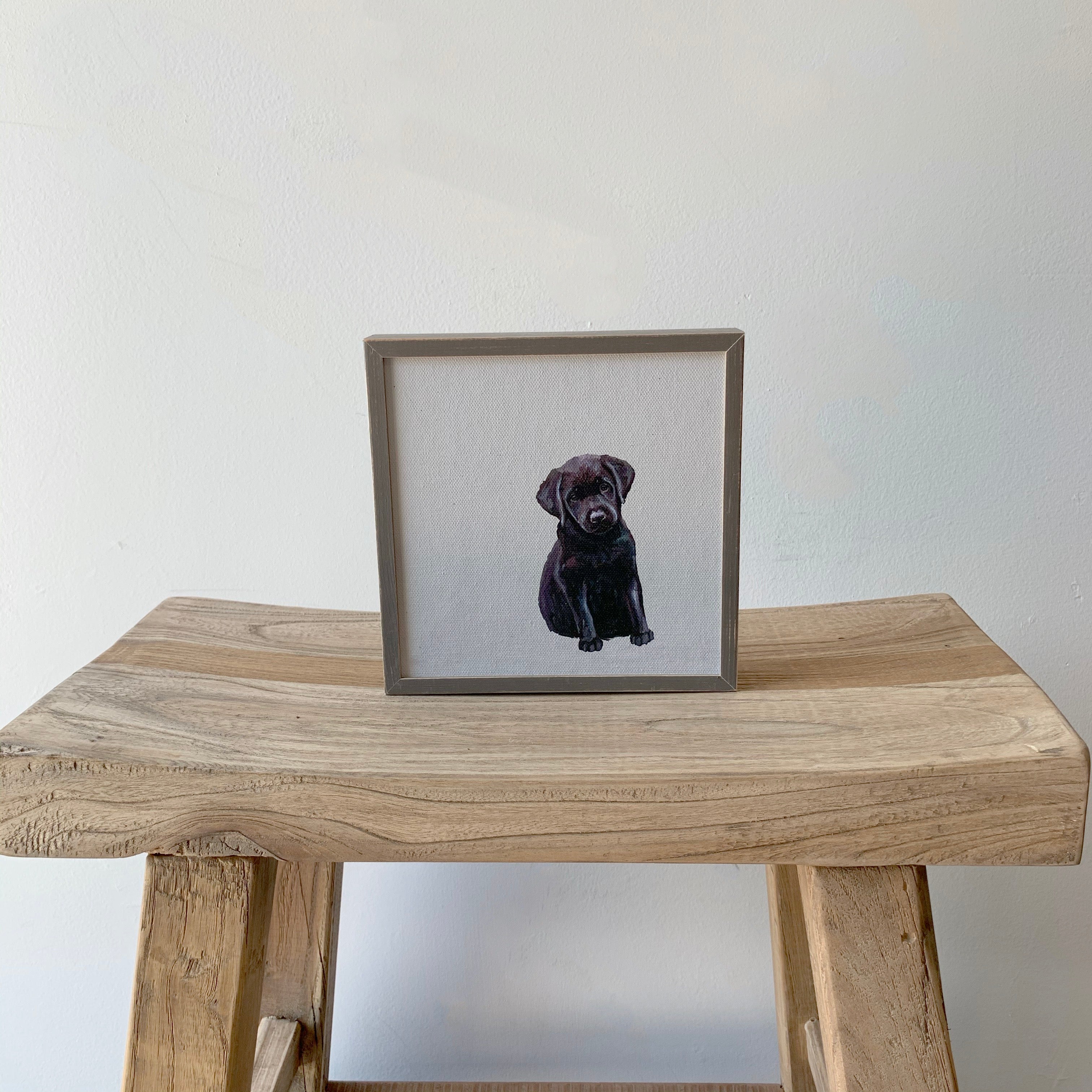 Black Lab Puppy Mini Framed Canvas