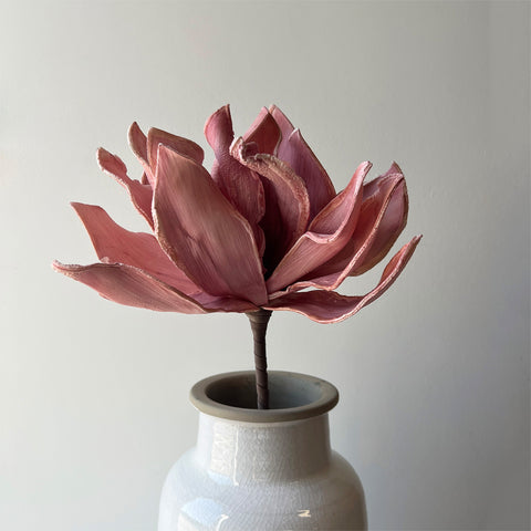 Botanica #3141
