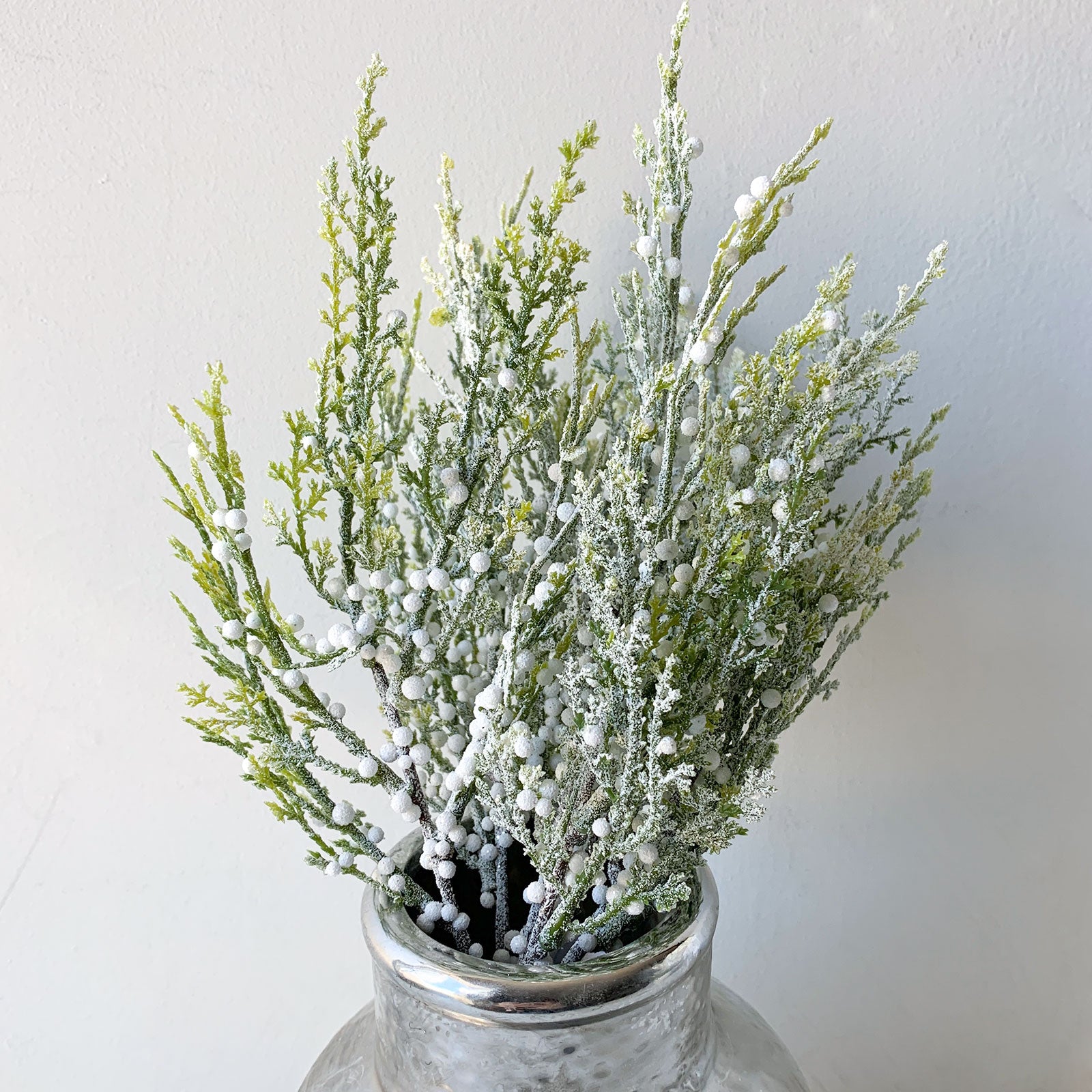 Frost Berry Bush