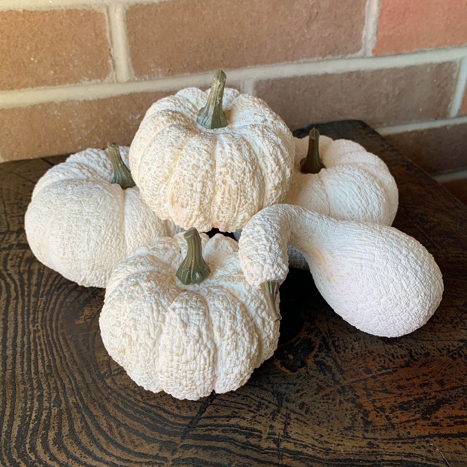 White Pumpkin & Gourd Set