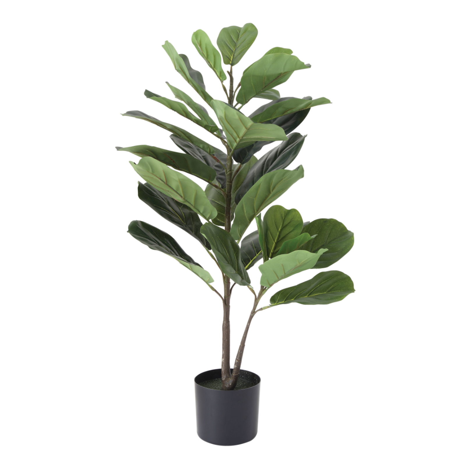 Faux Fig Leaf Plant