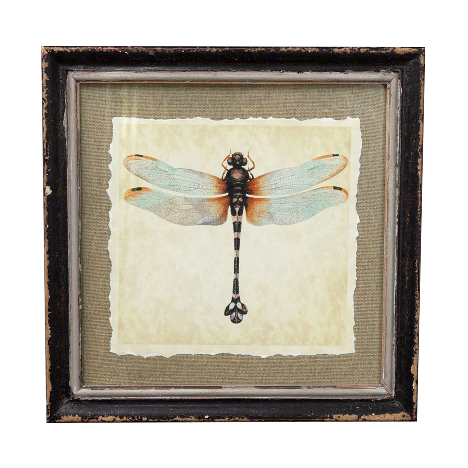 Acantha Dragonfly Art