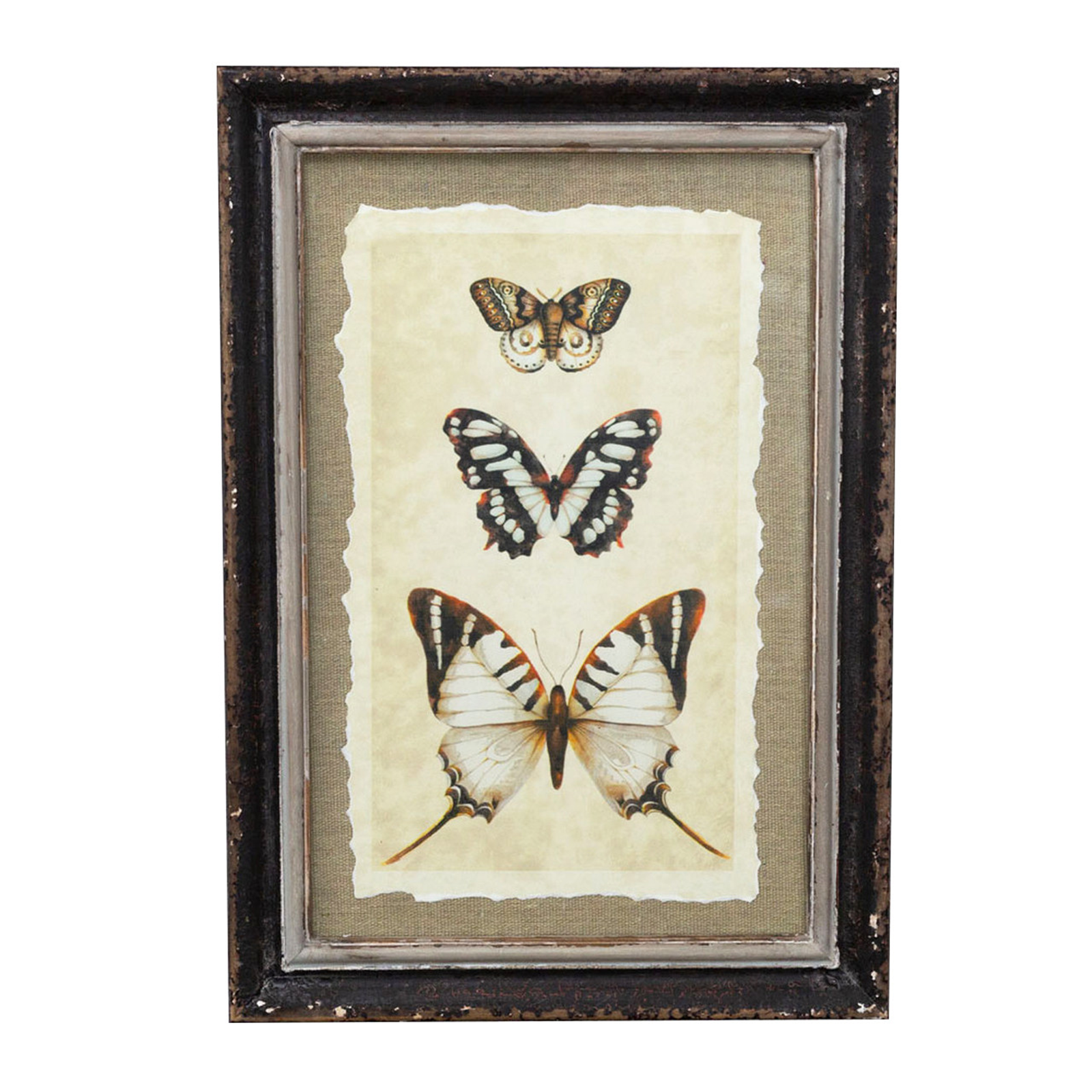 Acantha Butterfly Art