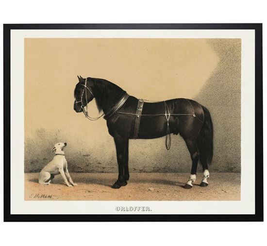 Vintage Horse and Dog