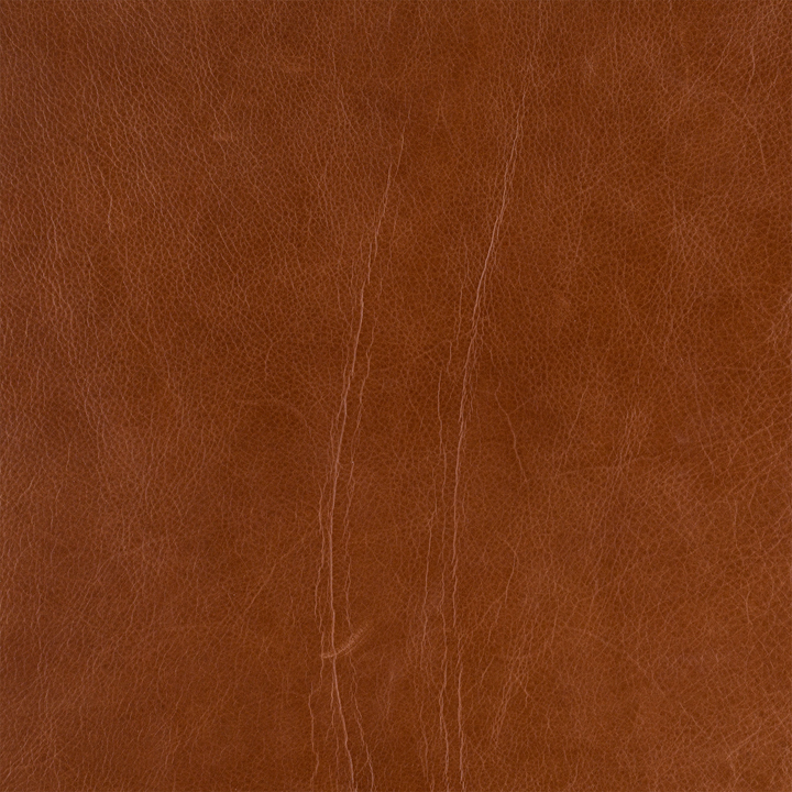Hanley Leather Sectional
