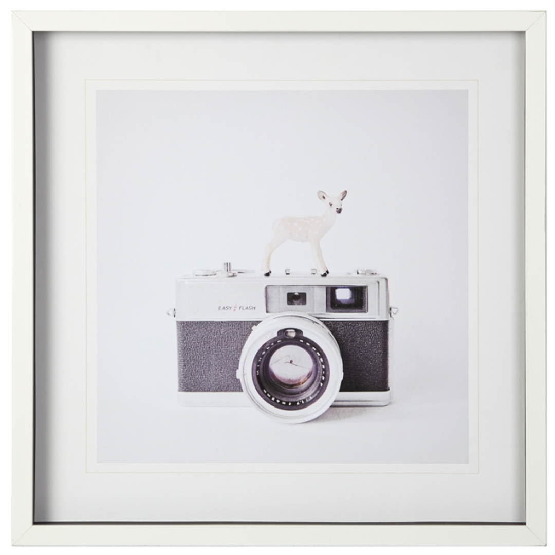 Deer & Vintage Camera