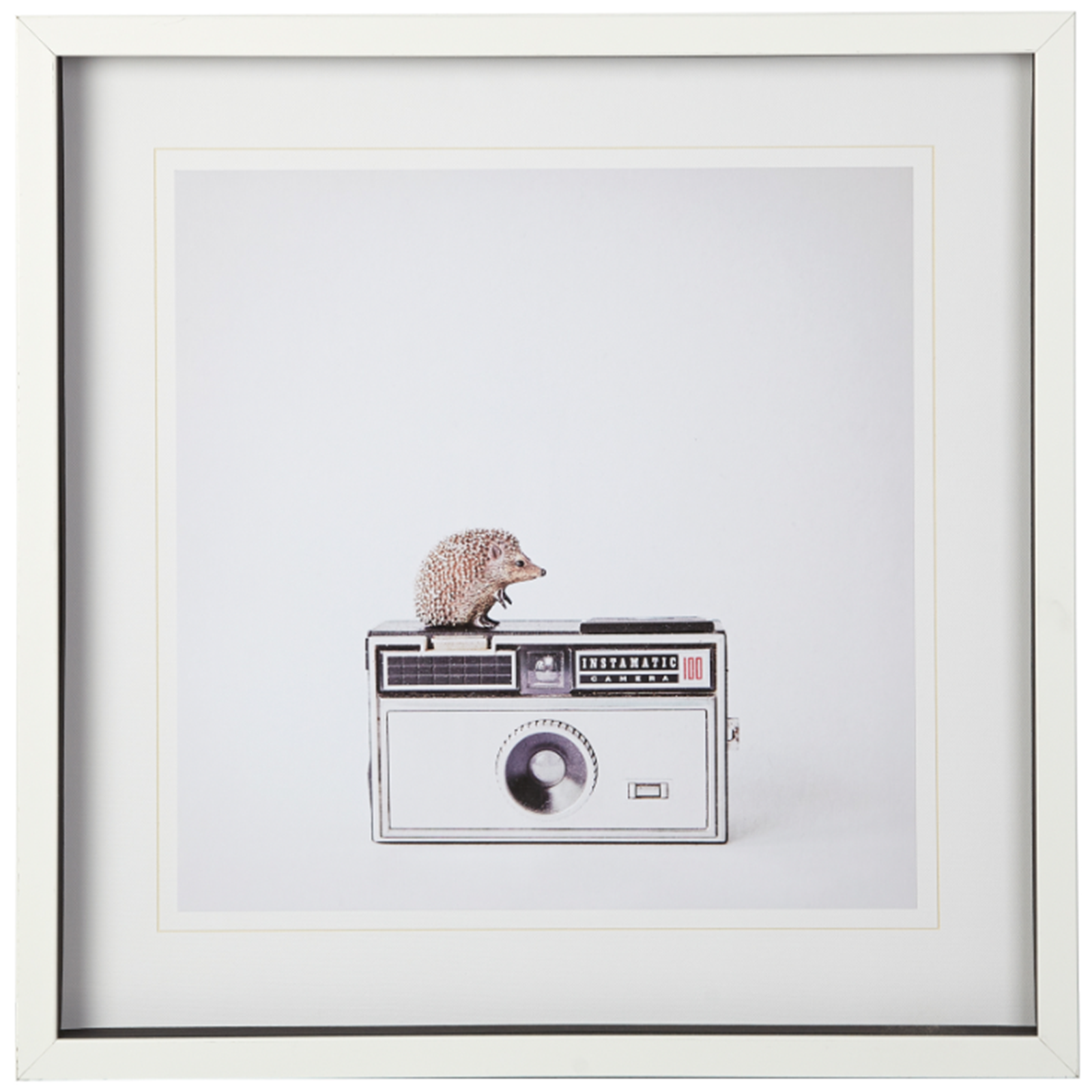 Hedgehog & Vintage Camera