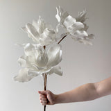 White Foam Flower
