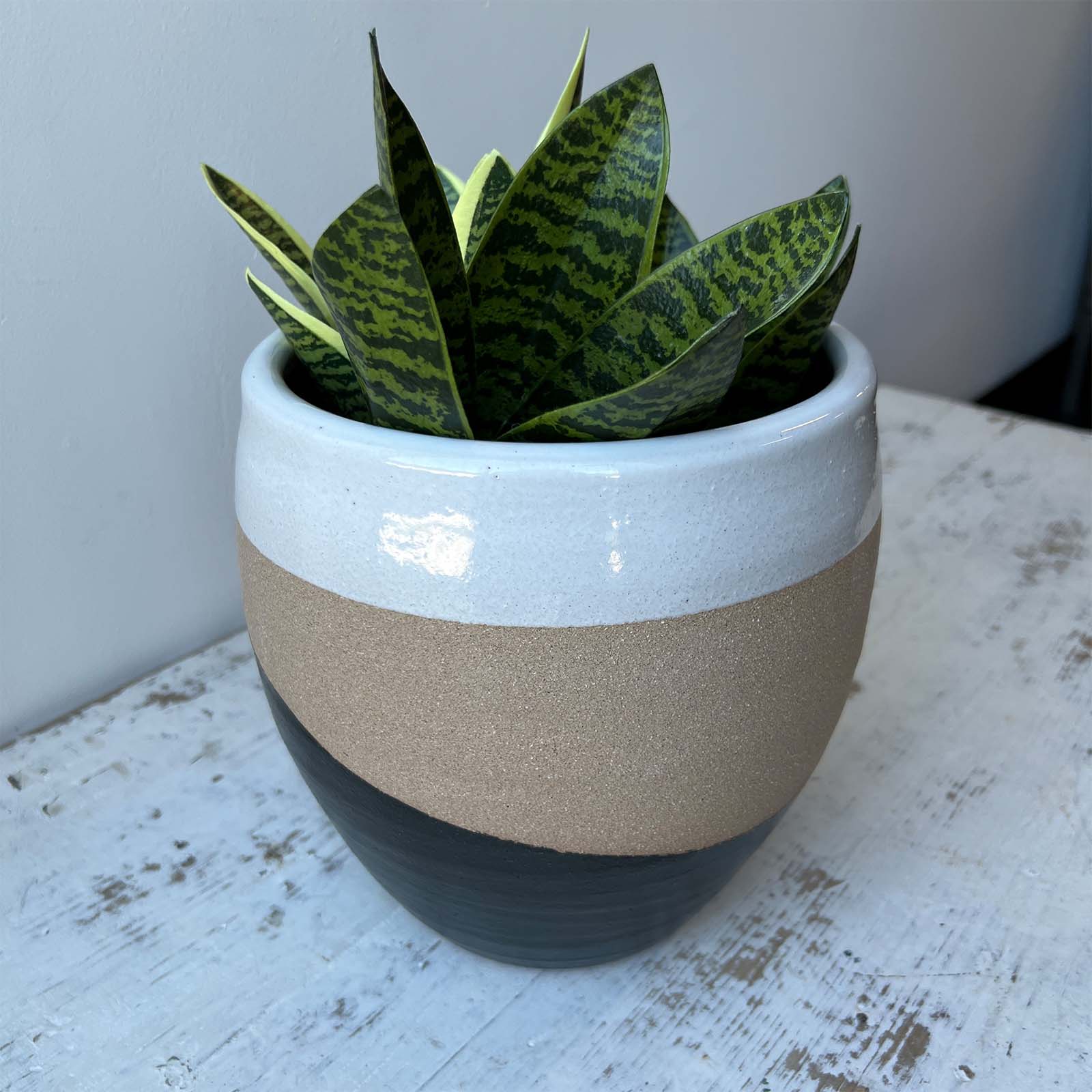 Terracotta Planter