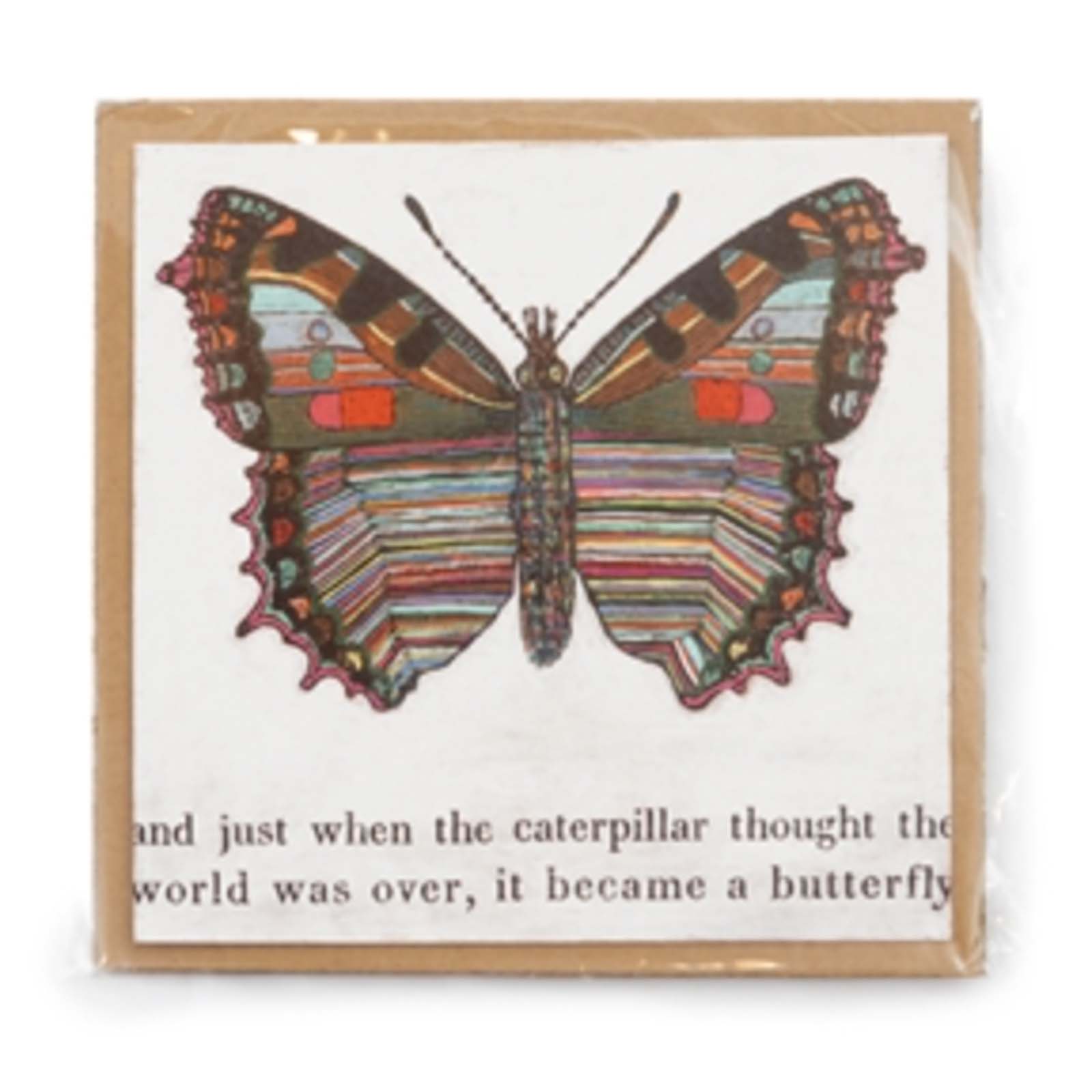 Butterfly Art Poster